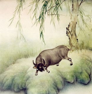 Chinese Cattle Painting,66cm x 66cm,4545003-x