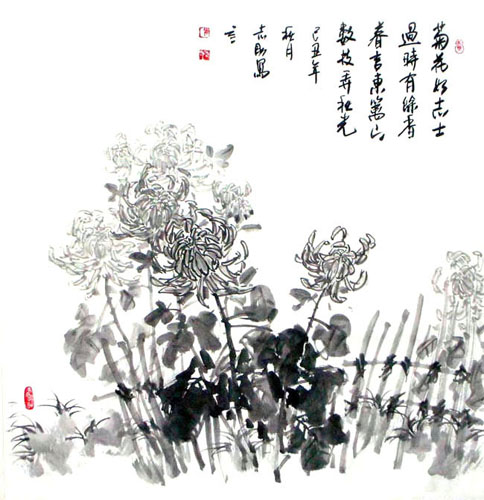 Chrysanthemum,69cm x 69cm(27〃 x 27〃),2360052-z