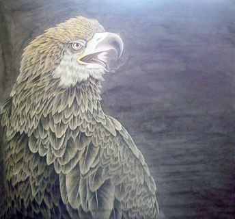 Chinese Eagle Painting,68cm x 68cm,4478004-x