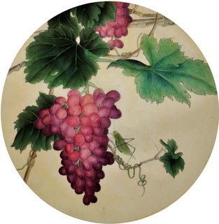 Chinese Grape Painting,38cm x 38cm,2416018-x