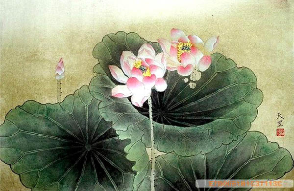 Lotus,50cm x 33cm(19〃 x 13〃),2320002-z