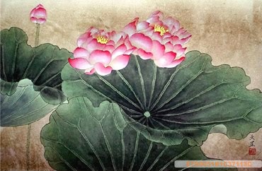 Chinese Lotus Painting,50cm x 33cm,2320004-x