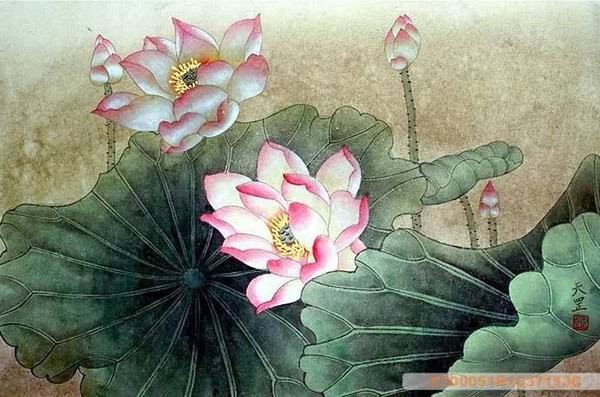 Lotus,50cm x 33cm(19〃 x 13〃),2320007-z