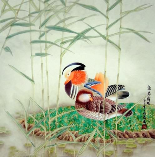 Mandarin Duck,66cm x 66cm(26〃 x 26〃),2411008-z