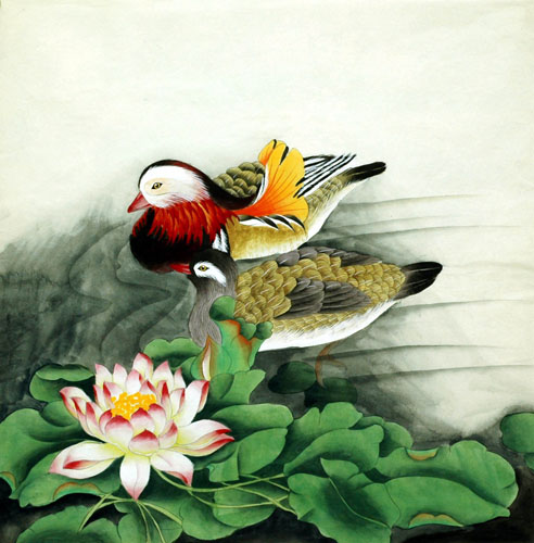 Mandarin Duck,69cm x 69cm(27〃 x 27〃),2614042-z