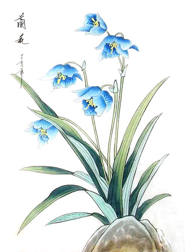 Orchid,30cm x 40cm(12〃 x 16〃),2336052-z