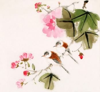 Chinese Other Birds Painting,40cm x 40cm,2340088-x
