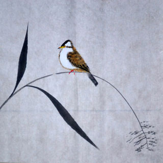 Chinese Other Birds Painting,33cm x 33cm,2408017-x