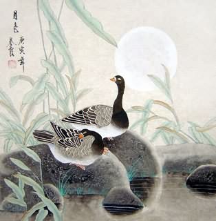 Chinese Other Birds Painting,66cm x 66cm,2703070-x