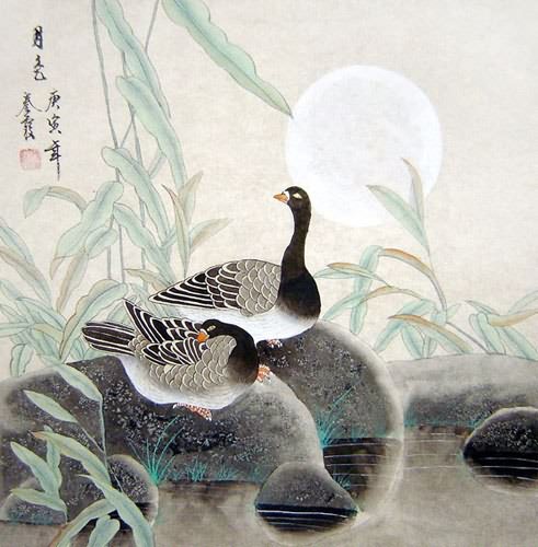 Other Birds,66cm x 66cm(26〃 x 26〃),2703070-z