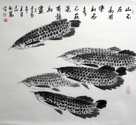 Other Fishes,69cm x 69cm(27〃 x 27〃),2360008-z