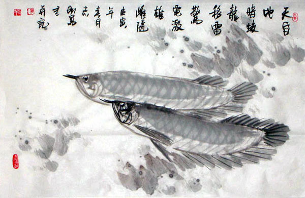 Other Fishes,69cm x 46cm(27〃 x 18〃),2360011-z