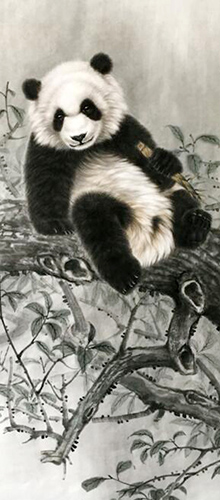 Panda,50cm x 100cm(19〃 x 39〃),4502015-z