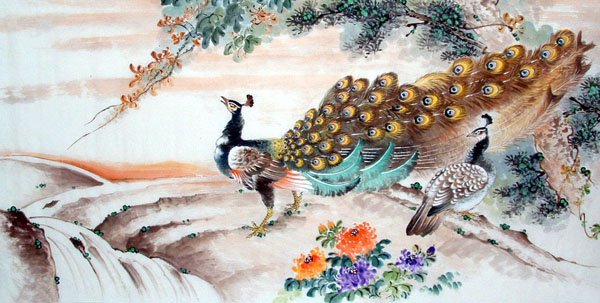 Peacock Peahen,66cm x 136cm(26〃 x 53〃),2397018-z