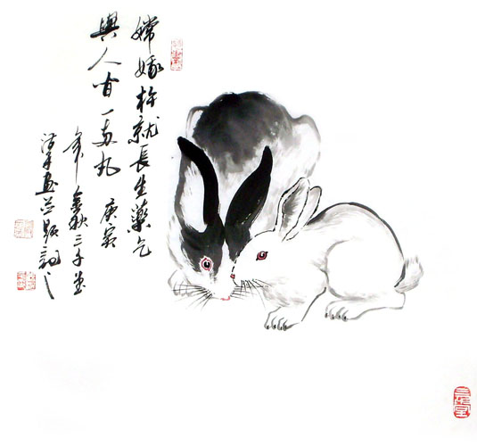 Rabbit,50cm x 50cm(19〃 x 19〃),4326013-z