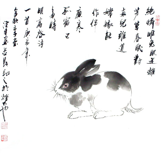 Rabbit,50cm x 50cm(19〃 x 19〃),4326016-z