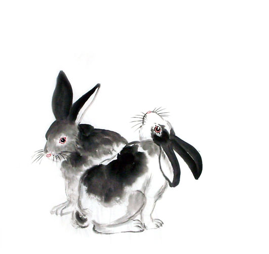 Rabbit,50cm x 50cm(19〃 x 19〃),4326017-z
