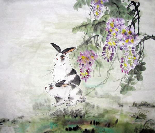 Rabbit,69cm x 69cm(27〃 x 27〃),4474003-z