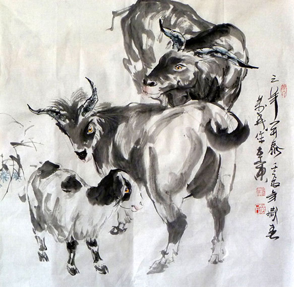 Sheep,69cm x 69cm(27〃 x 27〃),4695085-z