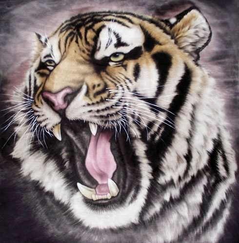 Tiger,98cm x 98cm(38〃 x 38〃),4445013-z