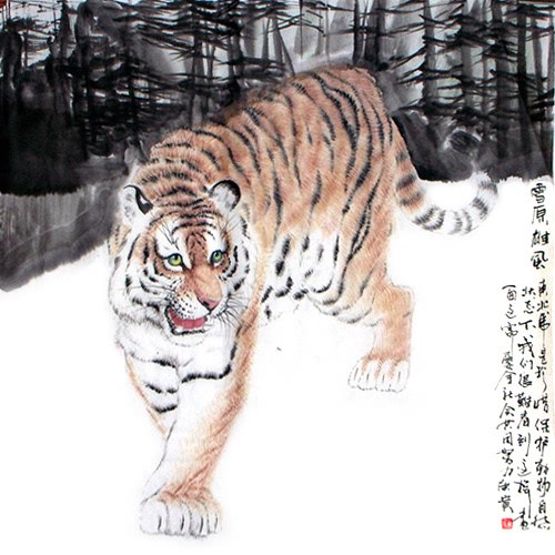 Tiger,76cm x 76cm(30〃 x 30〃),4695032-z