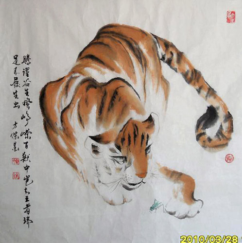Tiger,50cm x 50cm(19〃 x 19〃),4745001-z