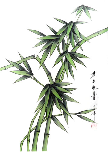 Bamboo,30cm x 40cm(12〃 x 16〃),2336136-z