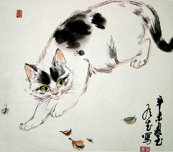 Cat,62cm x 62cm(24〃 x 24〃),4533002-z