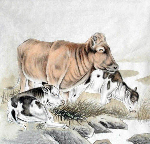 Cattle,66cm x 66cm(26〃 x 26〃),4374012-z
