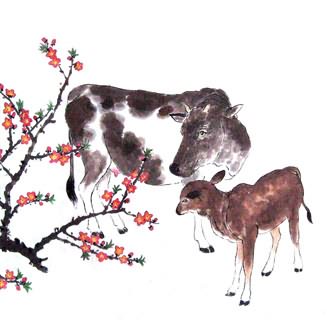 Chinese Cattle Painting,50cm x 50cm,4449004-x
