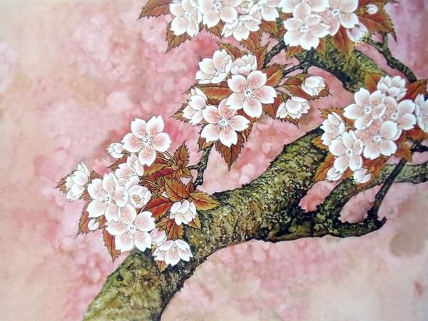Cherry Blossom,50cm x 70cm(19〃 x 27〃),2401003-z
