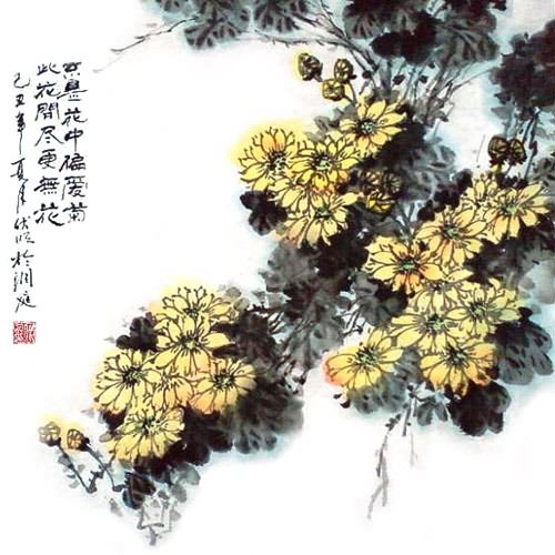 Chrysanthemum,50cm x 50cm(19〃 x 19〃),2403009-z
