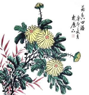 Chinese Chrysanthemum Painting,50cm x 50cm,2431002-x