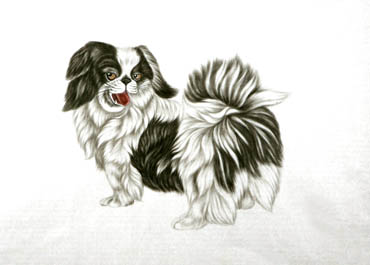 Chinese Dog Painting,65cm x 95cm,4340015-x