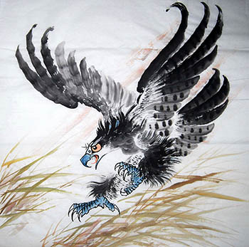 Chinese Eagle Painting,68cm x 68cm,sh41219004-x
