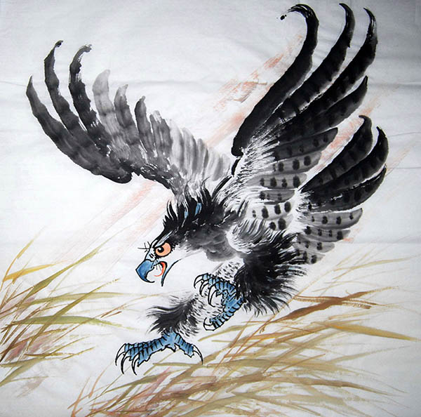 Eagle,68cm x 68cm(27〃 x 27〃),sh41219004-z