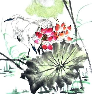Chinese Egret Painting,50cm x 50cm,2317004-x