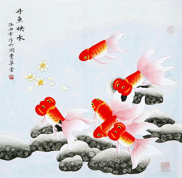 Goldfish,66cm x 66cm(26〃 x 26〃),2622023-z