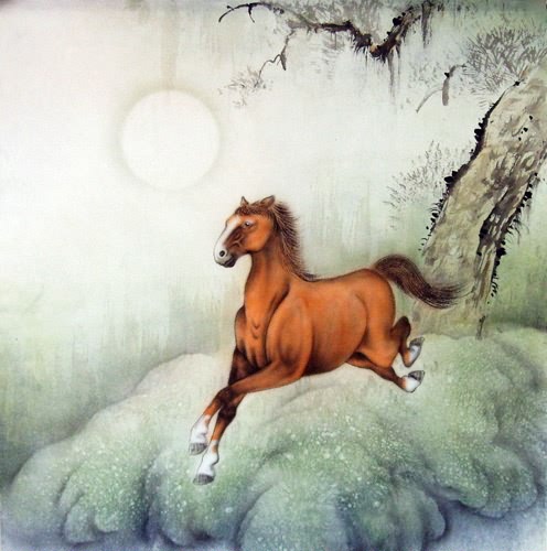 Horse,66cm x 66cm(26〃 x 26〃),4317017-z
