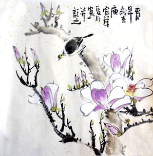 Chinese Magnolia Painting,50cm x 50cm,2336032-x