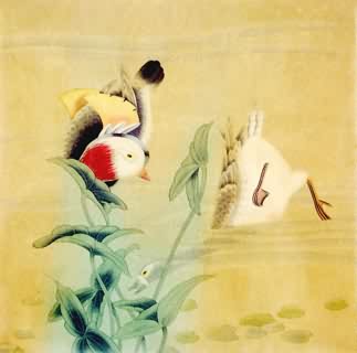 Chinese Mandarin Duck Painting,45cm x 45cm,2385007-x