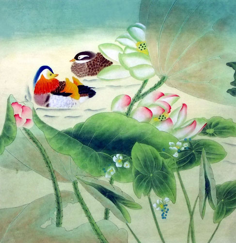 Mandarin Duck,66cm x 66cm(26〃 x 26〃),2614043-z