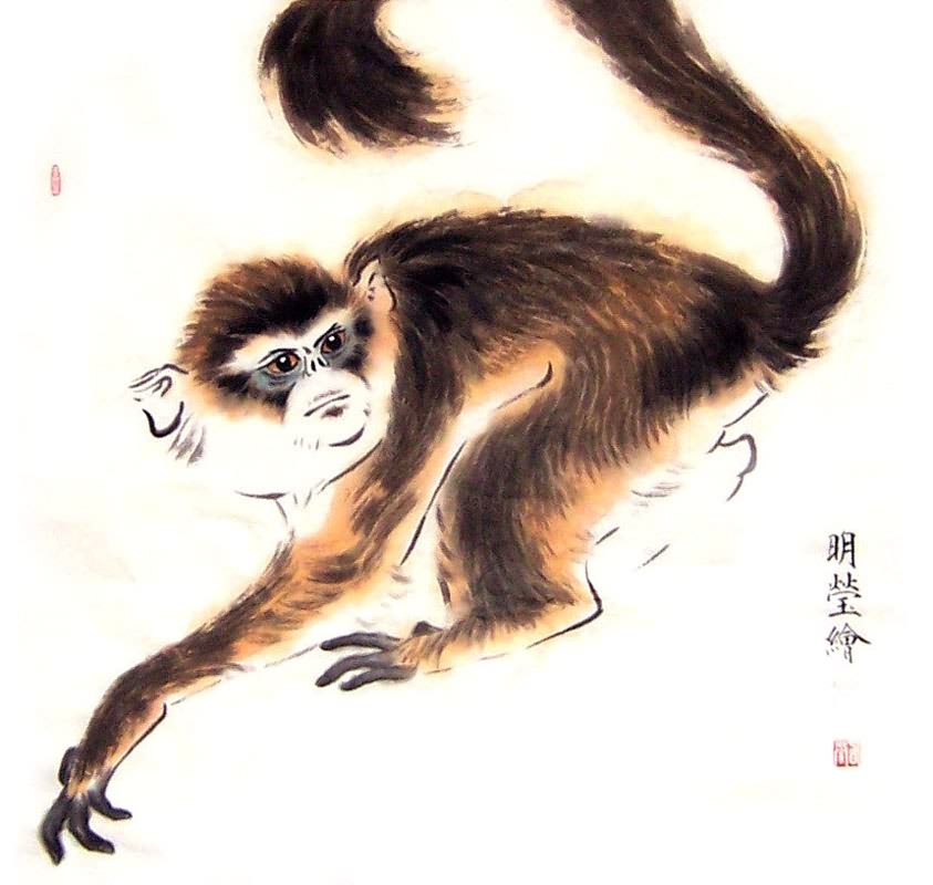 Chinese Monkey Painting 0 4374017, 50cm x 50cm(19〃 x 19〃)