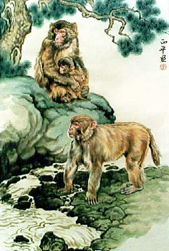Monkey,60cm x 90cm(23〃 x 35〃),4737047-z