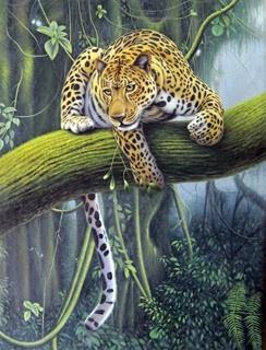 Animal Oil Painting,50cm x 70cm,6473004-x