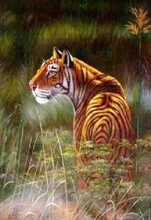 Animal Oil Painting,20cm x 25cm,6472011-x