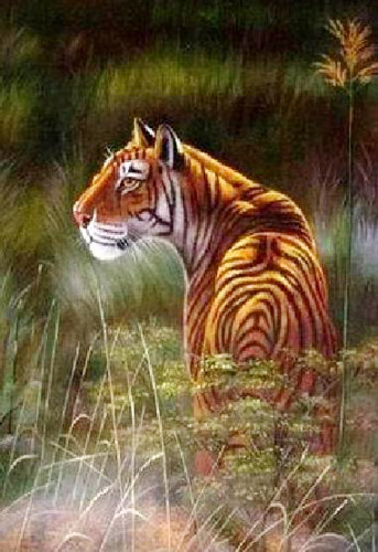 Animal Oil Painting,60cm x 90cm(23〃 x 35〃),6473003-z