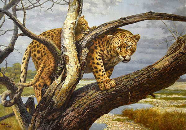 Animal Oil Painting,81cm x 120cm(32〃 x 48〃),jmz6484002-z