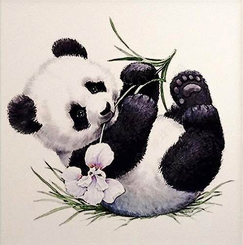 Animal Oil Painting,60cm x 60cm(23〃 x 23〃),jnh6483004-z