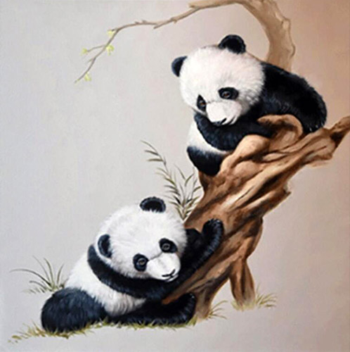 Animal Oil Painting,60cm x 60cm(23〃 x 23〃),jnh6483010-z